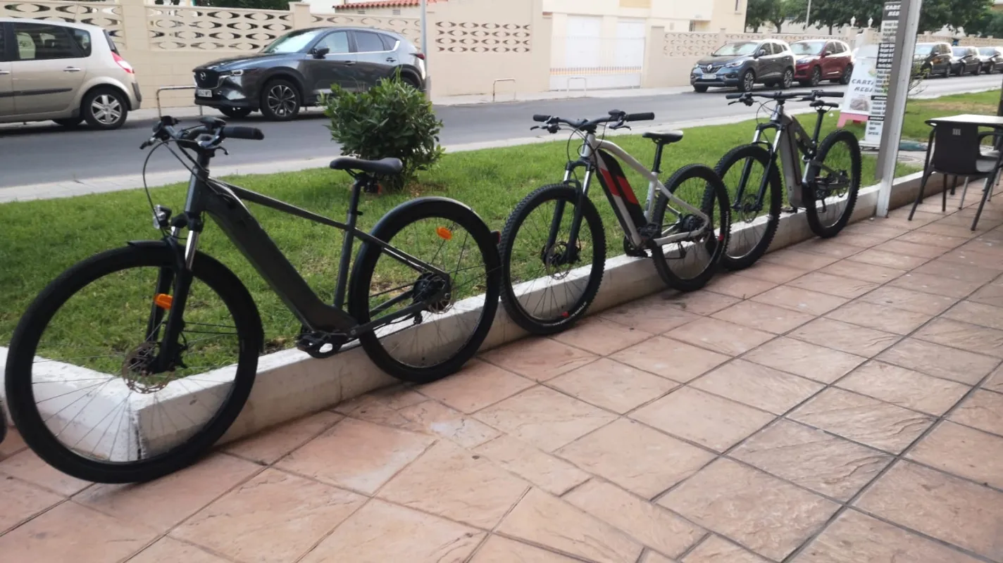Flota de E-Bikes